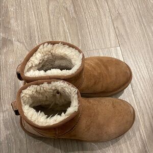 Chestnut Brown Uggs